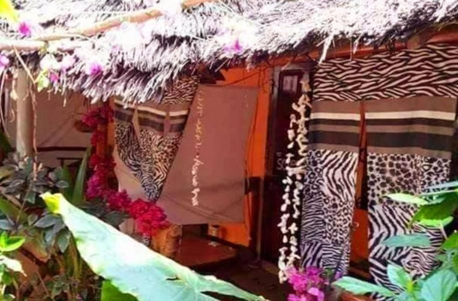 Sipano Beach Lodge Kiwengwa Kiwengwa  Exterior photo